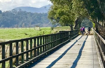 Riding along a wooden pathway