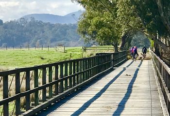 Yarra Valley Bike Tour: Lilydale to Warburton Rail Trail Day Trip