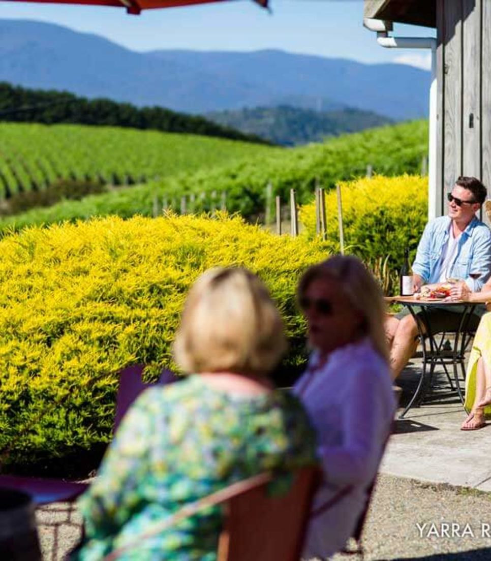 Explore the Yarra Valley by bike