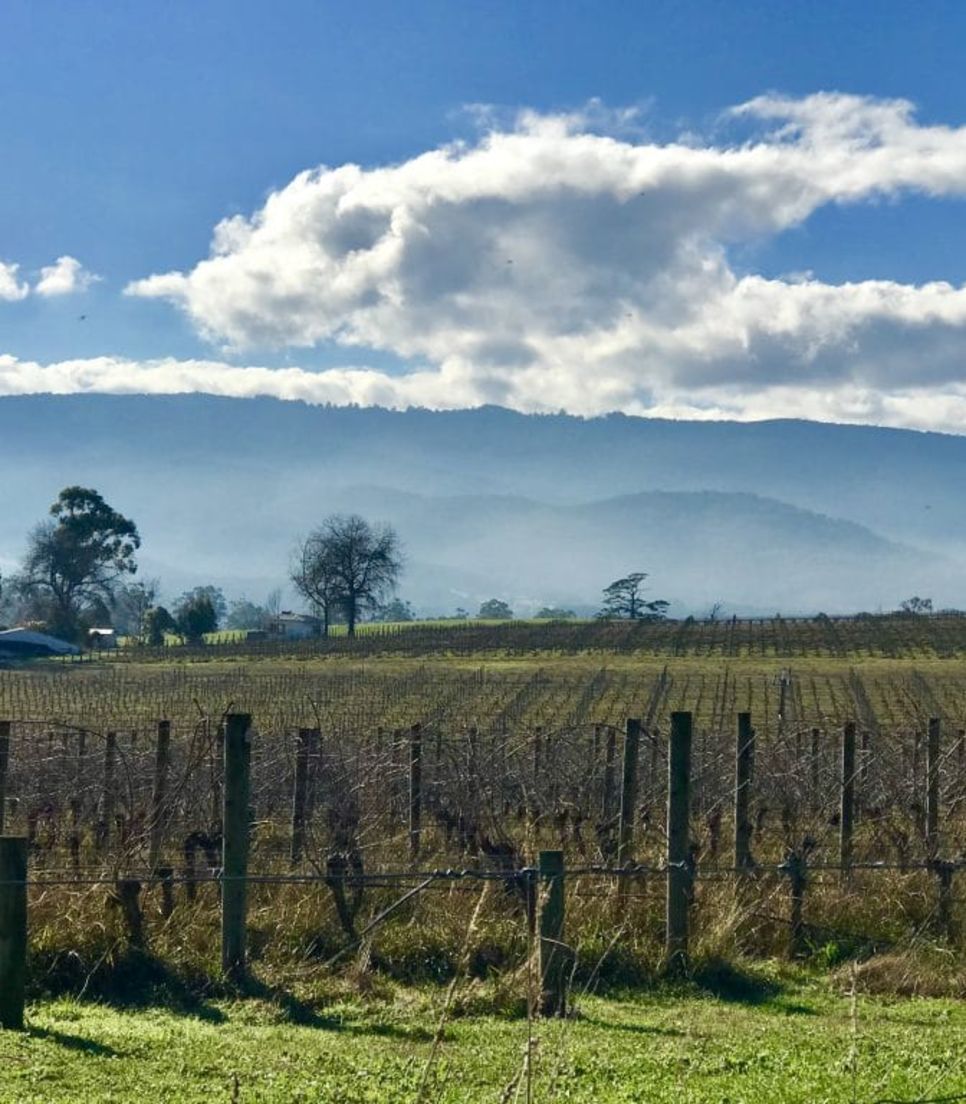 Discover Victoria's beauty on an enjoyable cycle day tour