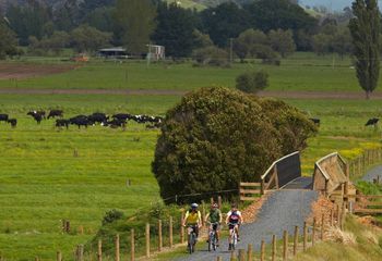 Hauraki Rail Trail