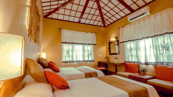 Enjoy two days in rustic yet comfortable accommodations near the Chitwan National Park