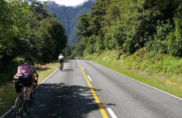 Biking on treelined road