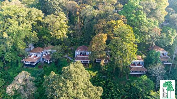 Be enveloped in nature as you rest in cottages nestled in an unspoiled forest