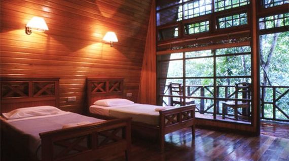 Spend two days in authentic Borneo timber bungalows  located right in the middle of the jungle