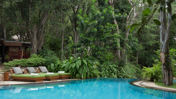 Stylish accommodation that's nestled in the jungle and comes with a refreshing outdoor pool