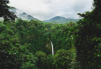 Costa Rica Wildlife Walk