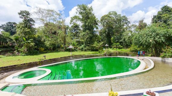 Unwind in lush gardens and rustic guestrooms at the heart of Bolaven Plateau.