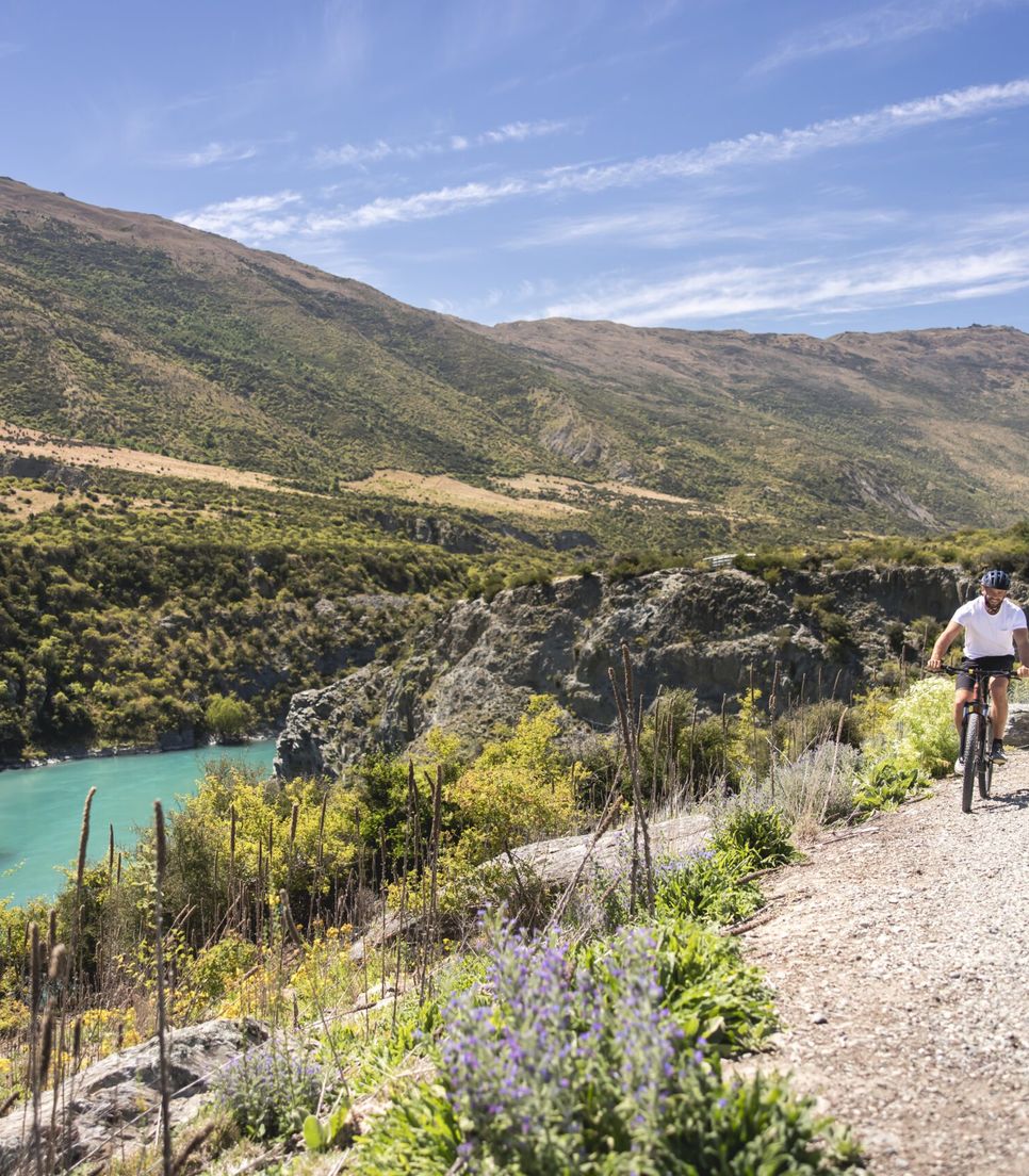 Explore the surrounding countryside by bike