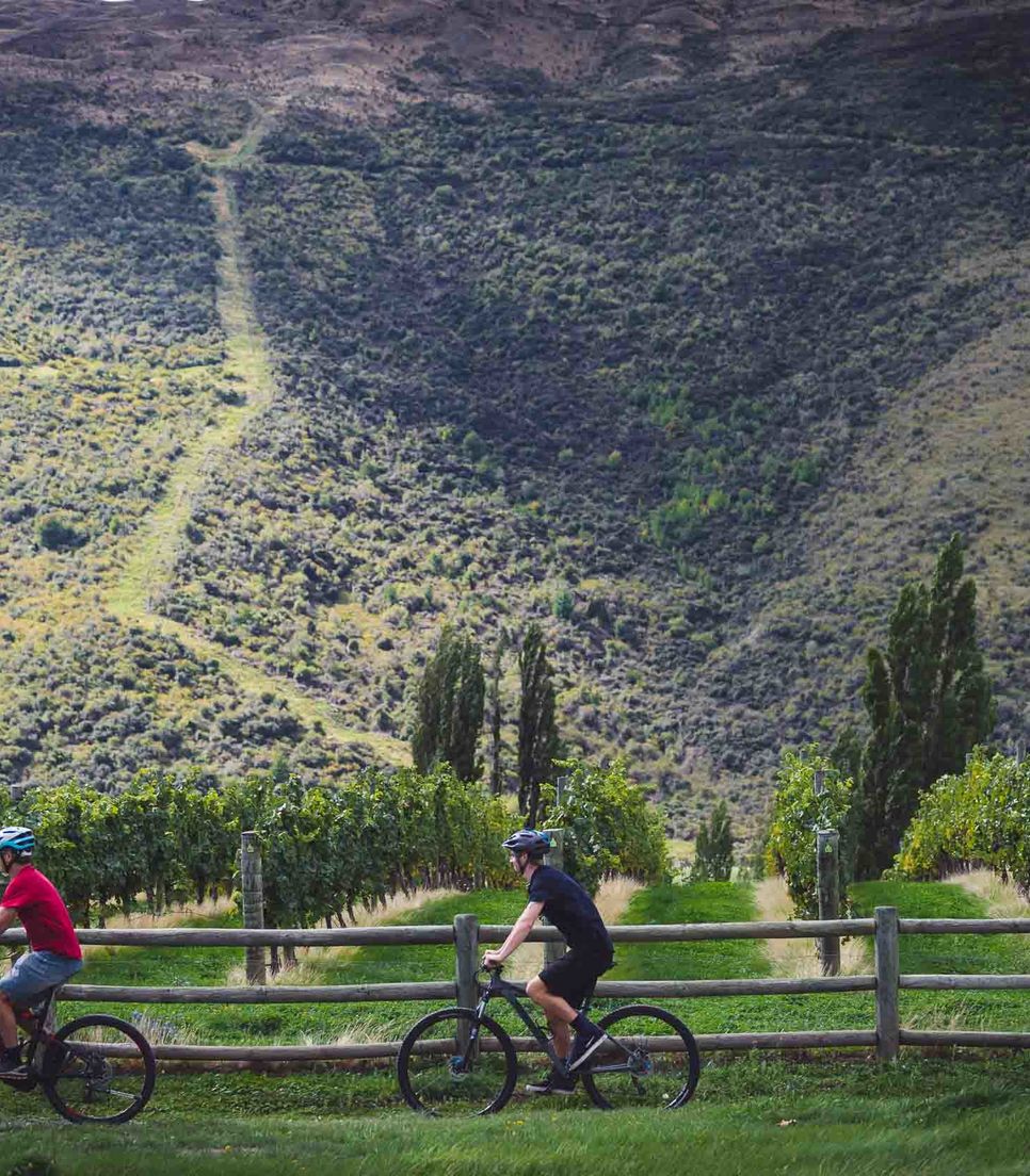 Bike into the heart of the Gibbston Valley and head to a vineyard